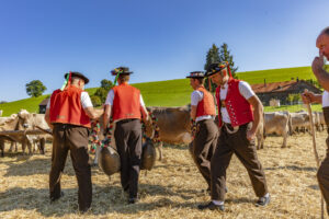 Appenzell, Appenzell Ausserrohden, Appenzeller Vorderland, Autumn, Brauchtum, Fall, Herbst, Ostschweiz, Rehetobel, Schweiz, Sennen, Suisse, Switzerland, Tracht, Viehschau, Wald, Wald AR, tradition
