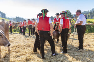 Appenzell, Appenzell Ausserrohden, Appenzeller Vorderland, Autumn, Brauchtum, Fall, Herbst, Ostschweiz, Rehetobel, Schweiz, Sennen, Suisse, Switzerland, Tracht, Viehschau, Wald, Wald AR, tradition
