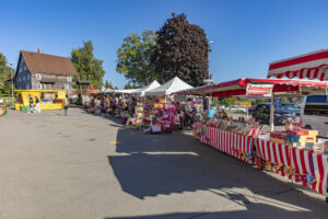 Appenzell, Appenzell Ausserrohden, Appenzeller Vorderland, Autumn, Brauchtum, Fall, Herbst, Ostschweiz, Rehetobel, Schweiz, Sennen, Suisse, Switzerland, Tracht, Viehschau, Wald, Wald AR, tradition