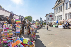 Appenzell, Appenzell Ausserrohden, Appenzeller Vorderland, Autumn, Brauchtum, Fall, Herbst, Ostschweiz, Rehetobel, Schweiz, Sennen, Suisse, Switzerland, Tracht, Viehschau, Wald, Wald AR, tradition