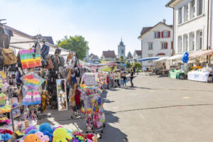 Appenzell, Appenzell Ausserrohden, Appenzeller Vorderland, Autumn, Brauchtum, Fall, Herbst, Ostschweiz, Rehetobel, Schweiz, Sennen, Suisse, Switzerland, Tracht, Viehschau, Wald, Wald AR, tradition