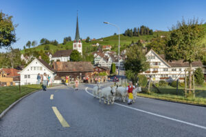 Appenzell, Appenzell Ausserrohden, Gais, Landwirtschaft, Ostschweiz, Schweiz, Sennen, Suisse, Switzerland, Tracht, Viehschau, Wirtschaft, tradition