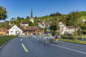 Appenzell, Appenzell Ausserrohden, Gais, Landwirtschaft, Ostschweiz, Schweiz, Sennen, Suisse, Switzerland, Tracht, Viehschau, Wirtschaft, tradition