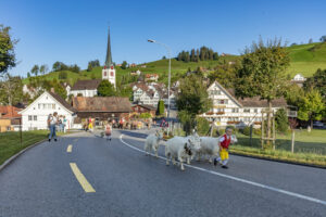 Appenzell, Appenzell Ausserrohden, Gais, Landwirtschaft, Ostschweiz, Schweiz, Sennen, Suisse, Switzerland, Tracht, Viehschau, Wirtschaft, tradition