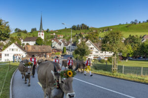 Appenzell, Appenzell Ausserrohden, Gais, Landwirtschaft, Ostschweiz, Schweiz, Sennen, Suisse, Switzerland, Tracht, Viehschau, Wirtschaft, tradition