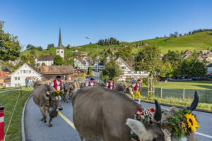 Appenzell, Appenzell Ausserrohden, Gais, Landwirtschaft, Ostschweiz, Schweiz, Sennen, Suisse, Switzerland, Tracht, Viehschau, Wirtschaft, tradition