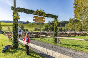 Appenzell, Appenzell Ausserrohden, Gais, Landwirtschaft, Ostschweiz, Schweiz, Sennen, Suisse, Switzerland, Tracht, Viehschau, Wirtschaft, tradition