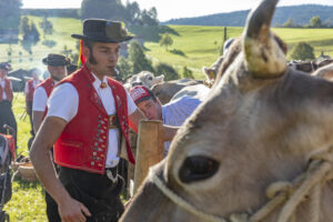 Appenzell, Appenzell Ausserrohden, Gais, Landwirtschaft, Ostschweiz, Schweiz, Sennen, Suisse, Switzerland, Tracht, Viehschau, Wirtschaft, tradition