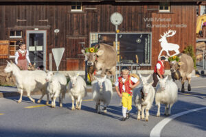 Appenzell, Appenzell Ausserrohden, Gais, Landwirtschaft, Ostschweiz, Schweiz, Sennen, Suisse, Switzerland, Tracht, Viehschau, Wirtschaft, tradition