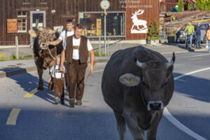Appenzell, Appenzell Ausserrohden, Gais, Landwirtschaft, Ostschweiz, Schweiz, Sennen, Suisse, Switzerland, Tracht, Viehschau, Wirtschaft, tradition