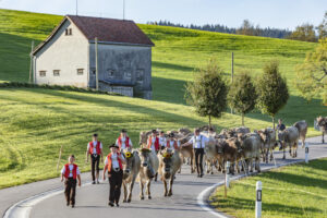 Appenzell, Appenzell Ausserrohden, Gais, Landwirtschaft, Ostschweiz, Schweiz, Sennen, Suisse, Switzerland, Tracht, Viehschau, Wirtschaft, tradition