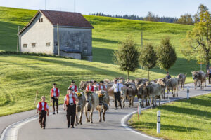 Appenzell, Appenzell Ausserrohden, Gais, Landwirtschaft, Ostschweiz, Schweiz, Sennen, Suisse, Switzerland, Tracht, Viehschau, Wirtschaft, tradition