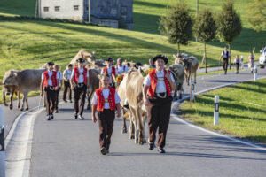 Appenzell, Appenzell Ausserrohden, Gais, Landwirtschaft, Ostschweiz, Schweiz, Sennen, Suisse, Switzerland, Tracht, Viehschau, Wirtschaft, tradition