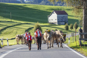 Appenzell, Appenzell Ausserrohden, Gais, Landwirtschaft, Ostschweiz, Schweiz, Sennen, Suisse, Switzerland, Tracht, Viehschau, Wirtschaft, tradition