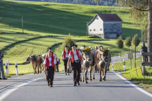 Appenzell, Appenzell Ausserrohden, Gais, Landwirtschaft, Ostschweiz, Schweiz, Sennen, Suisse, Switzerland, Tracht, Viehschau, Wirtschaft, tradition