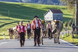 Appenzell, Appenzell Ausserrohden, Gais, Landwirtschaft, Ostschweiz, Schweiz, Sennen, Suisse, Switzerland, Tracht, Viehschau, Wirtschaft, tradition