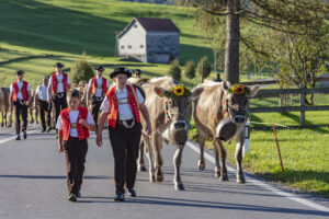 Appenzell, Appenzell Ausserrohden, Gais, Landwirtschaft, Ostschweiz, Schweiz, Sennen, Suisse, Switzerland, Tracht, Viehschau, Wirtschaft, tradition