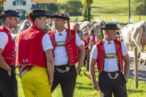 Appenzell, Appenzell Ausserrohden, Gais, Landwirtschaft, Ostschweiz, Schweiz, Sennen, Suisse, Switzerland, Tracht, Viehschau, Wirtschaft, tradition