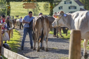 Appenzell, Appenzell Ausserrohden, Gais, Landwirtschaft, Ostschweiz, Schweiz, Sennen, Suisse, Switzerland, Tracht, Viehschau, Wirtschaft, tradition