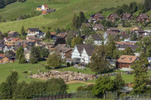 Appenzell, Appenzell Ausserrohden, Gais, Landwirtschaft, Ostschweiz, Schweiz, Sennen, Suisse, Switzerland, Tracht, Viehschau, Wirtschaft, tradition