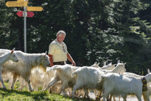 Alp, Alpabfahrt, Alpen, Alpfahrt, Alps, Appenzell, Appenzell Ausserrohden, Appenzeller Hinterland, Brauchtum, Hügel, Landwirtschaft, Ostschweiz, Schweiz, Sennen, Suisse, Switzerland, Tracht, Urnäsch, Wirtschaft, alps, Öberefahre