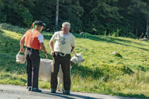 Alp, Alpabfahrt, Alpen, Alpfahrt, Alps, Appenzell, Appenzell Ausserrohden, Appenzeller Hinterland, Brauchtum, Hügel, Landwirtschaft, Ostschweiz, Schweiz, Sennen, Suisse, Switzerland, Tracht, Urnäsch, Wirtschaft, alps, Öberefahre