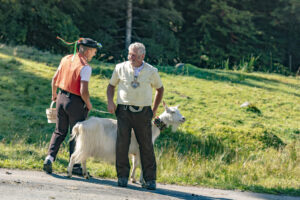 Alp, Alpabfahrt, Alpen, Alpfahrt, Alps, Appenzell, Appenzell Ausserrohden, Appenzeller Hinterland, Brauchtum, Hügel, Landwirtschaft, Ostschweiz, Schweiz, Sennen, Suisse, Switzerland, Tracht, Urnäsch, Wirtschaft, alps, Öberefahre