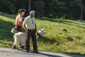 Alp, Alpabfahrt, Alpen, Alpfahrt, Alps, Appenzell, Appenzell Ausserrohden, Appenzeller Hinterland, Brauchtum, Hügel, Landwirtschaft, Ostschweiz, Schweiz, Sennen, Suisse, Switzerland, Tracht, Urnäsch, Wirtschaft, alps, Öberefahre