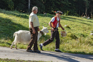 Alp, Alpabfahrt, Alpen, Alpfahrt, Alps, Appenzell, Appenzell Ausserrohden, Appenzeller Hinterland, Brauchtum, Hügel, Landwirtschaft, Ostschweiz, Schweiz, Sennen, Suisse, Switzerland, Tracht, Urnäsch, Wirtschaft, alps, Öberefahre