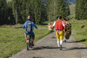 Alp, Alpabfahrt, Alpen, Alpfahrt, Alps, Appenzell, Appenzell Ausserrohden, Appenzeller Hinterland, Brauchtum, Hügel, Landwirtschaft, Ostschweiz, Schweiz, Sennen, Suisse, Switzerland, Tracht, Urnäsch, Wirtschaft, alps, Öberefahre