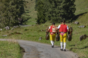 Alp, Alpabfahrt, Alpen, Alpfahrt, Alps, Appenzell, Appenzell Ausserrohden, Appenzeller Hinterland, Brauchtum, Hügel, Landwirtschaft, Ostschweiz, Schweiz, Sennen, Suisse, Switzerland, Tracht, Urnäsch, Wirtschaft, alps, Öberefahre