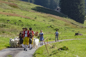 Alp, Alpabfahrt, Alpen, Alpfahrt, Alps, Appenzell, Appenzell Ausserrohden, Appenzeller Hinterland, Brauchtum, Hügel, Landwirtschaft, Ostschweiz, Schweiz, Sennen, Suisse, Switzerland, Tracht, Urnäsch, Wirtschaft, alps, Öberefahre