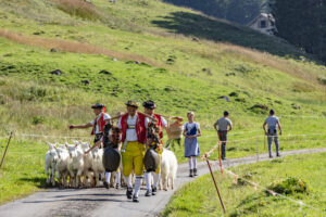 Alp, Alpabfahrt, Alpen, Alpfahrt, Alps, Appenzell, Appenzell Ausserrohden, Appenzeller Hinterland, Brauchtum, Hügel, Landwirtschaft, Ostschweiz, Schweiz, Sennen, Suisse, Switzerland, Tracht, Urnäsch, Wirtschaft, alps, Öberefahre