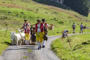 Alp, Alpabfahrt, Alpen, Alpfahrt, Alps, Appenzell, Appenzell Ausserrohden, Appenzeller Hinterland, Brauchtum, Hügel, Landwirtschaft, Ostschweiz, Schweiz, Sennen, Suisse, Switzerland, Tracht, Urnäsch, Wirtschaft, alps, Öberefahre