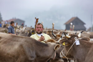 Appenzell, Appenzell Ausserrohden, Autumn, Fall, Herbst, Hundwil, Landwirtschaft, Schweiz, Sennen, Suisse, Switzerland, Tracht, Viehschau, Wirtschaft, tradition