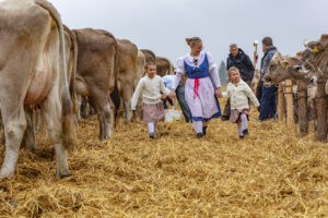 Appenzell, Appenzell Ausserrohden, Autumn, Fall, Herbst, Hundwil, Landwirtschaft, Schweiz, Sennen, Suisse, Switzerland, Tracht, Viehschau, Wirtschaft, tradition