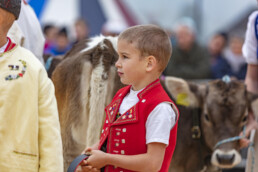 Appenzell, Appenzell Ausserrohden, Autumn, Fall, Herbst, Hundwil, Landwirtschaft, Schweiz, Sennen, Suisse, Switzerland, Tracht, Viehschau, Wirtschaft, tradition