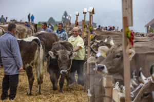 Appenzell, Appenzell Ausserrohden, Autumn, Fall, Herbst, Hundwil, Landwirtschaft, Schweiz, Sennen, Suisse, Switzerland, Tracht, Viehschau, Wirtschaft, tradition