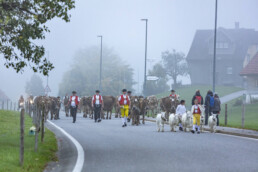 Appenzell, Appenzell Ausserrohden, Autumn, Fall, Herbst, Hundwil, Landwirtschaft, Schweiz, Sennen, Suisse, Switzerland, Tracht, Viehschau, Wirtschaft, tradition