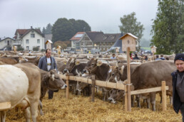 Appenzell, Appenzell Ausserrohden, Autumn, Fall, Herbst, Hundwil, Landwirtschaft, Schweiz, Sennen, Suisse, Switzerland, Tracht, Viehschau, Wirtschaft, tradition
