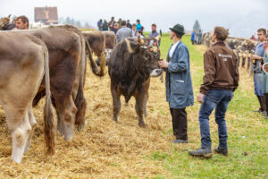 Appenzell, Appenzell Ausserrohden, Autumn, Fall, Herbst, Hundwil, Landwirtschaft, Schweiz, Sennen, Suisse, Switzerland, Tracht, Viehschau, Wirtschaft, tradition