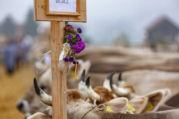 Appenzell, Appenzell Ausserrohden, Autumn, Fall, Herbst, Hundwil, Landwirtschaft, Schweiz, Sennen, Suisse, Switzerland, Tracht, Viehschau, Wirtschaft, tradition