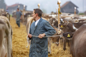 Appenzell, Appenzell Ausserrohden, Autumn, Fall, Herbst, Hundwil, Landwirtschaft, Schweiz, Sennen, Suisse, Switzerland, Tracht, Viehschau, Wirtschaft, tradition