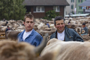 Appenzell, Appenzell Ausserrohden, Autumn, Fall, Herbst, Hundwil, Landwirtschaft, Schweiz, Sennen, Suisse, Switzerland, Tracht, Viehschau, Wirtschaft, tradition