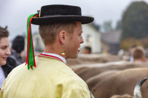 Appenzell, Appenzell Ausserrohden, Autumn, Fall, Herbst, Hundwil, Landwirtschaft, Schweiz, Sennen, Suisse, Switzerland, Tracht, Viehschau, Wirtschaft, tradition