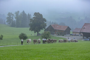 Appenzell, Appenzell Ausserrohden, Autumn, Fall, Herbst, Hundwil, Landwirtschaft, Schweiz, Sennen, Suisse, Switzerland, Tracht, Viehschau, Wirtschaft, tradition