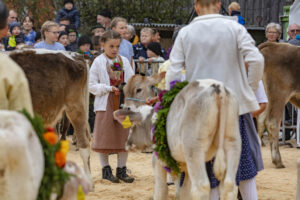 Appenzell, Appenzell Ausserrohden, Autumn, Fall, Herbst, Hundwil, Landwirtschaft, Schweiz, Sennen, Suisse, Switzerland, Tracht, Viehschau, Wirtschaft, tradition