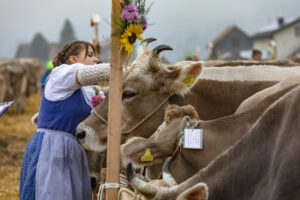 Appenzell, Appenzell Ausserrohden, Autumn, Fall, Herbst, Hundwil, Landwirtschaft, Schweiz, Sennen, Suisse, Switzerland, Tracht, Viehschau, Wirtschaft, tradition