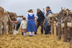 Appenzell, Appenzell Ausserrohden, Autumn, Fall, Herbst, Hundwil, Landwirtschaft, Schweiz, Sennen, Suisse, Switzerland, Tracht, Viehschau, Wirtschaft, tradition