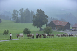 Appenzell, Appenzell Ausserrohden, Autumn, Fall, Herbst, Hundwil, Landwirtschaft, Schweiz, Sennen, Suisse, Switzerland, Tracht, Viehschau, Wirtschaft, tradition